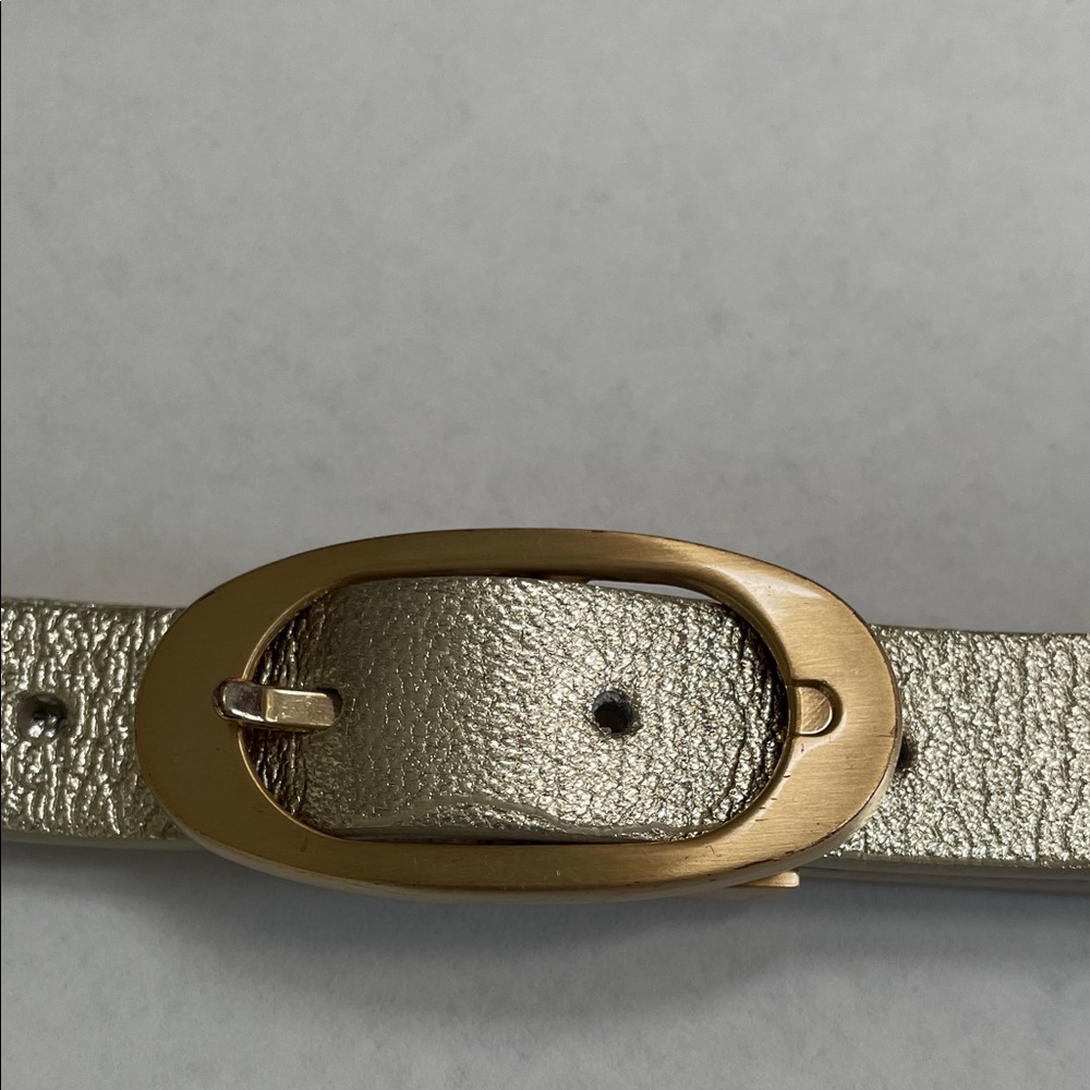 Stylish Solid Reversible  Belt with Gold Buckle Size Large.